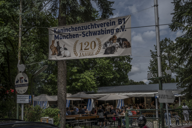 120 Jahre - Jubiläumsjungtierschau & Sommerfest 2026
